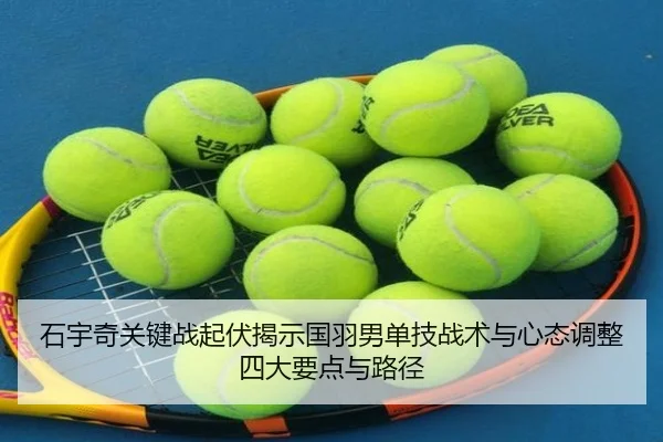 shi-yu-qi-guan-jian-zhan-qi-fu-jie-shi-guo-yu-nan-dan-ji-zhan-shu-yu-xin-tai-tiao-zheng-si-da-yao-dian-yu-lu-jing-2-161.jpg